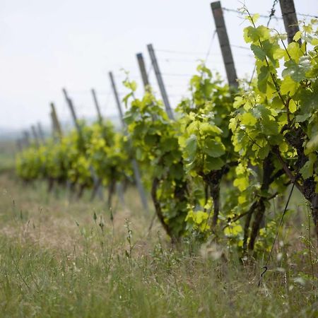 Weingut Schilling Hotell Seinsheim Eksteriør bilde