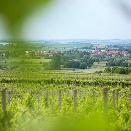 Weingut Schilling Hotell Seinsheim Eksteriør bilde