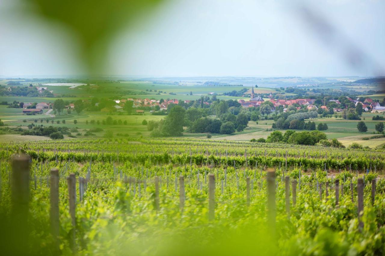 Weingut Schilling Hotell Seinsheim Eksteriør bilde